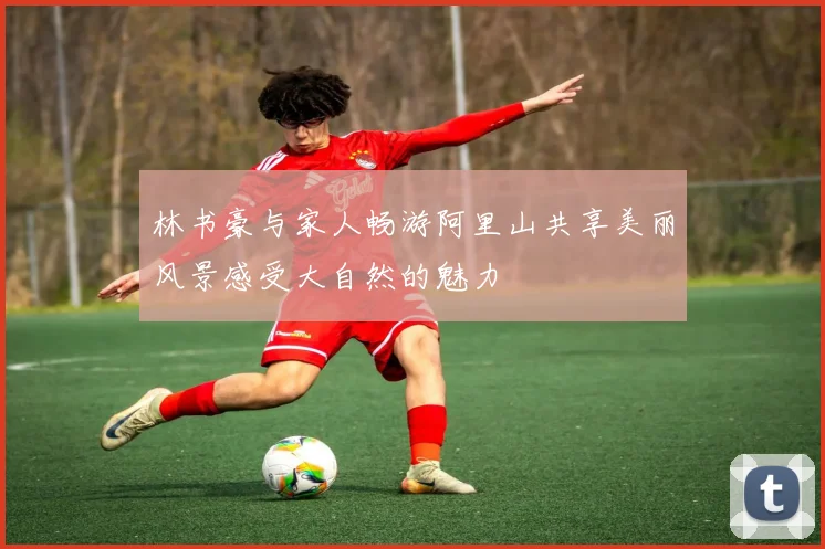 林书豪与家人畅游阿里山共享美丽风景感受大自然的魅力